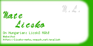 mate licsko business card