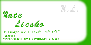 mate licsko business card